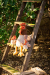 Randy The Rooster
