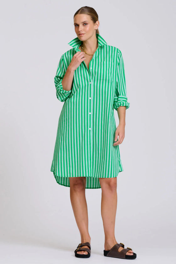 The Classic Cotton Shirt Dress