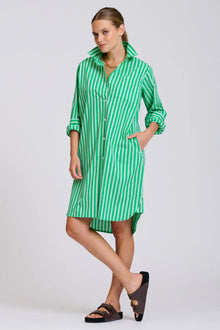  The Classic Cotton Shirt Dress