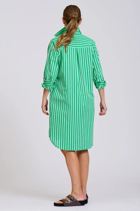 The Classic Cotton Shirt Dress
