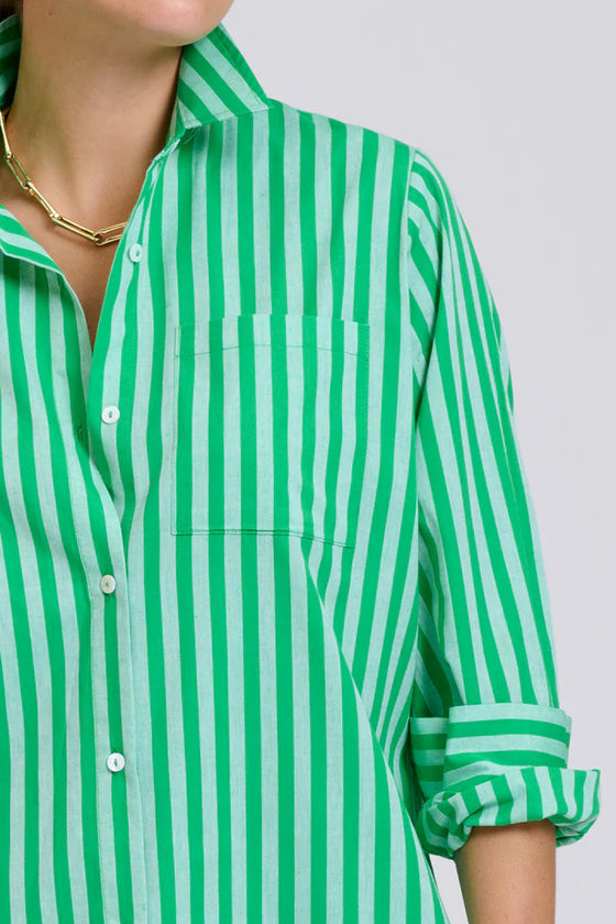 The Classic Cotton Shirt Dress